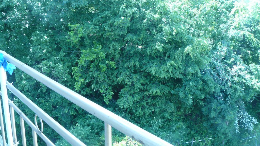 Geto Apartment Belogradcic Exterior foto